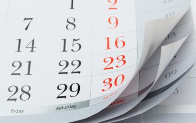 Tax Diary November/December 2024